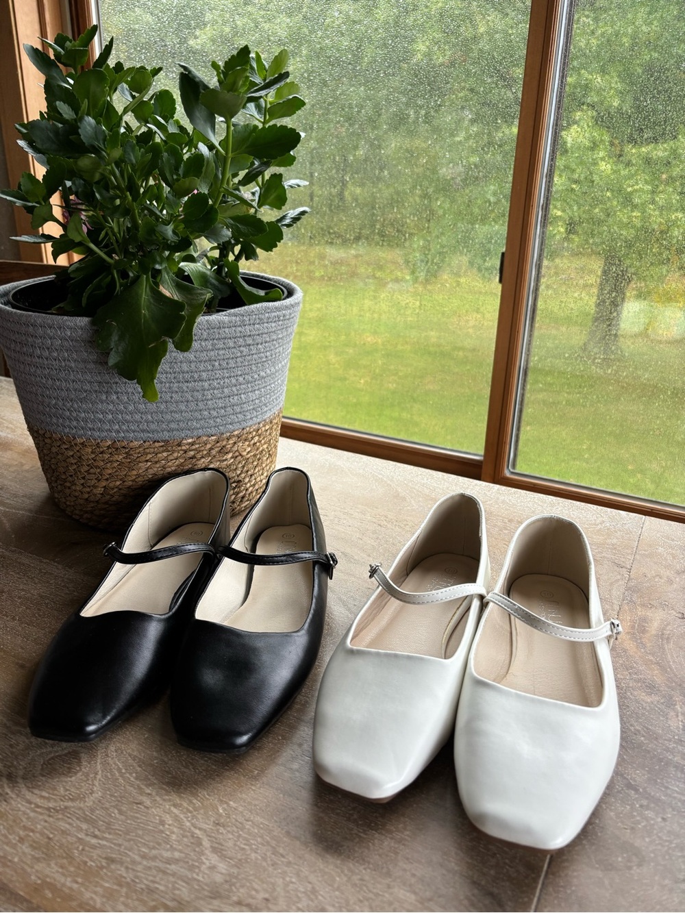 Two Pack of Classic Closed-Toe Flats in Black and White - Women Shoes